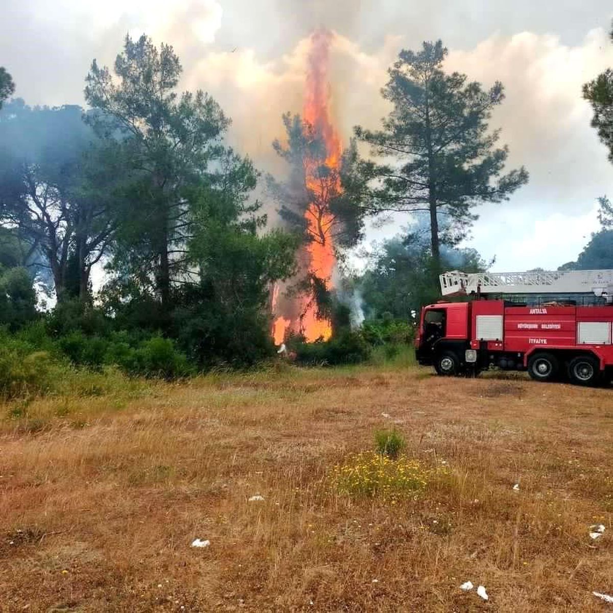 Antalya'da çıkan orman yangını büyümeden kontrol altına alındı