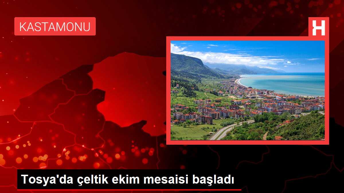 Tosya'da çeltik ekim mesaisi başladı