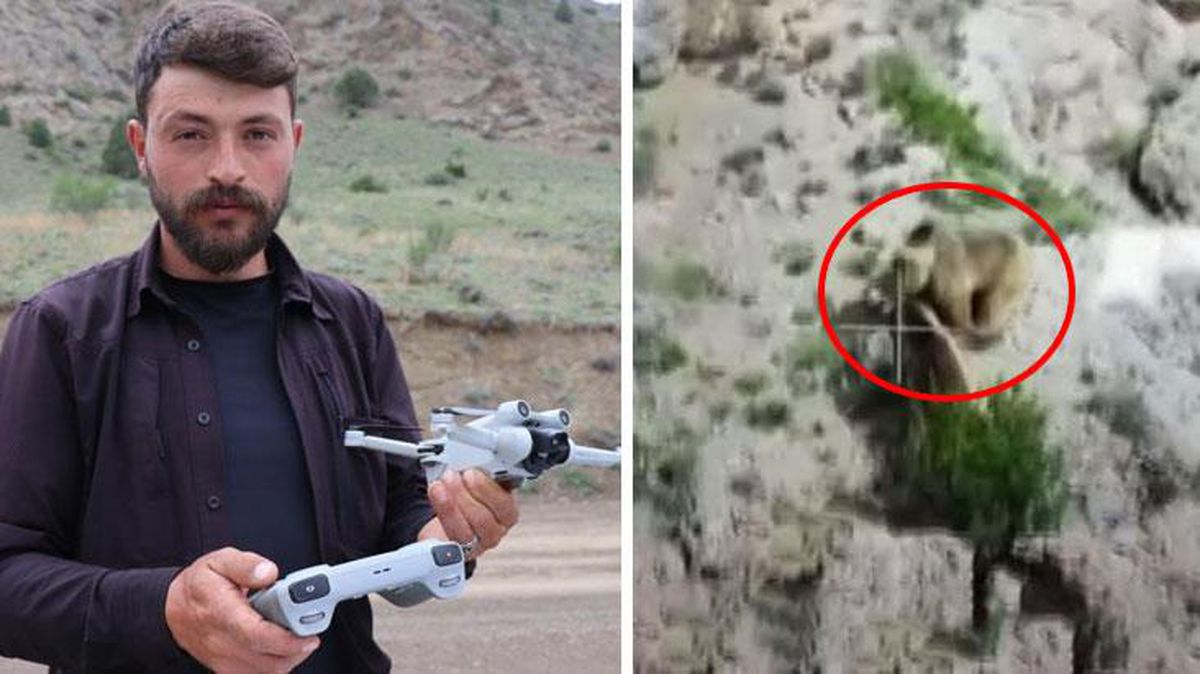 Yer: Erzurum! Kayıp koyun için havalandırdığı dron ile ayıların kavgasını kayda aldı