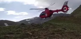 Başkale'de yıldırım düştü: 2 yaralı