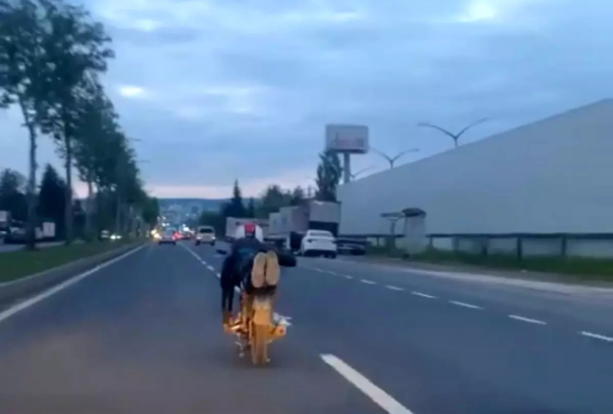 Motosikleti Yatarak Kullanan Sürücü Tehlike Saçtı - Haberler