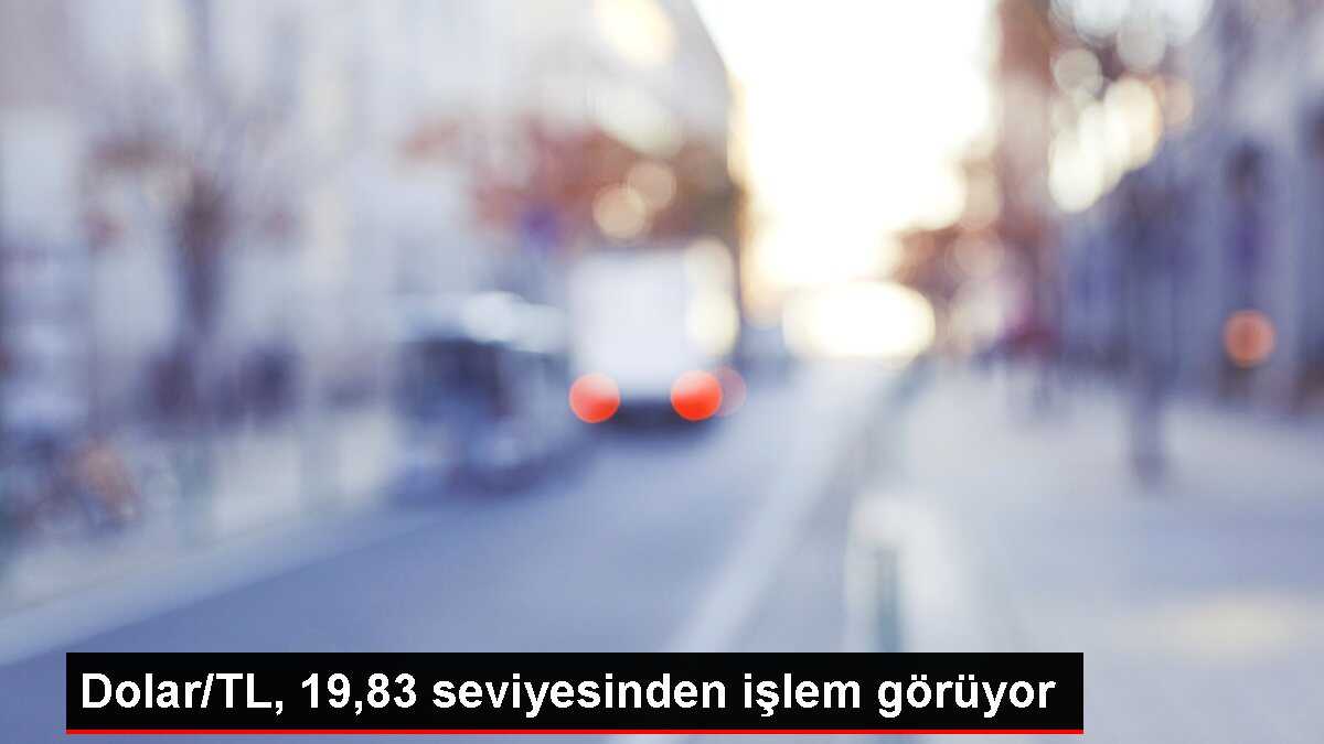 Dolar/TL, 19,83 seviyesinden işlem görüyor