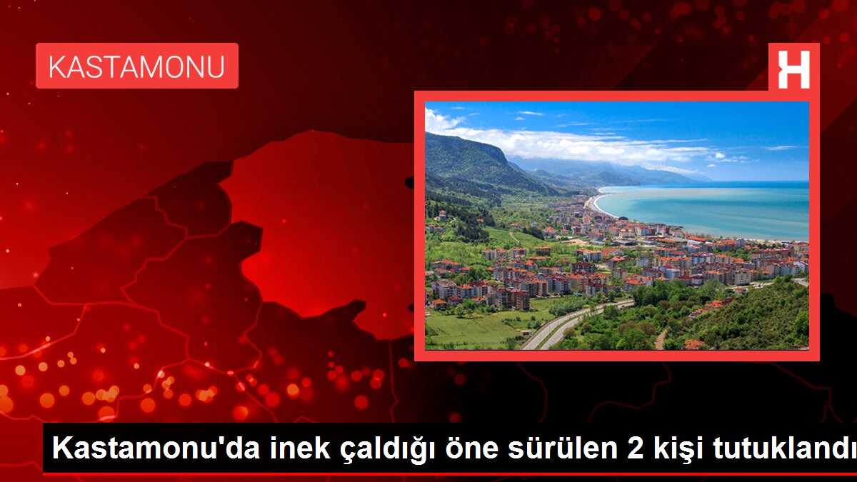 Kastamonu'da inek çaldığı öne sürülen 2 kişi tutuklandı