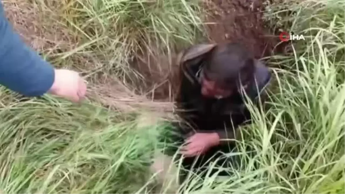 Vatandaştan su kuyusunda mahsur kalan köpekler için kurtarma operasyonu