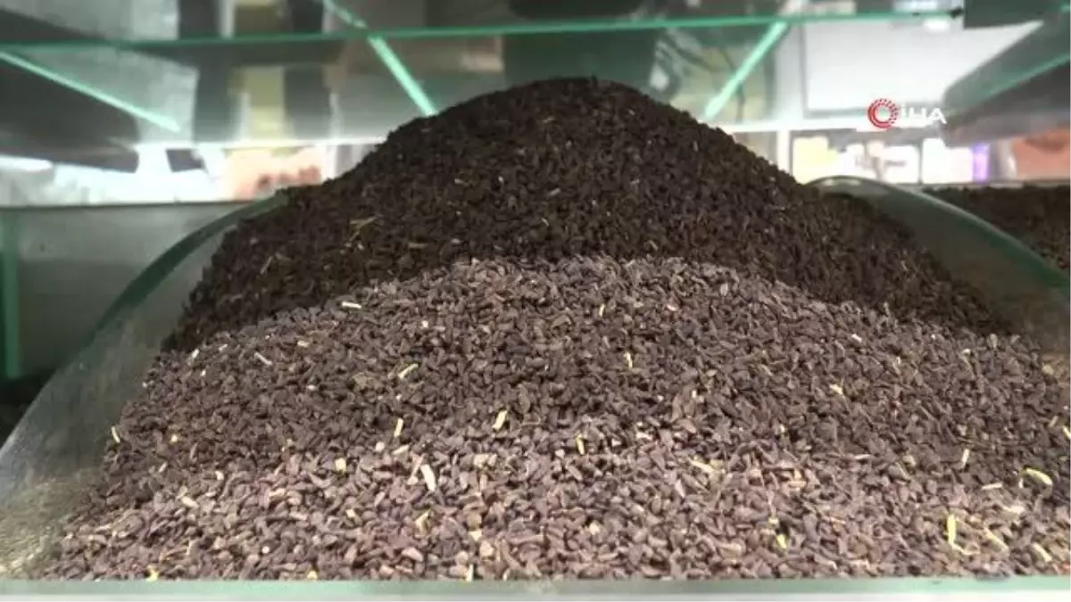 Yaz nezlesine zencefil çözümü