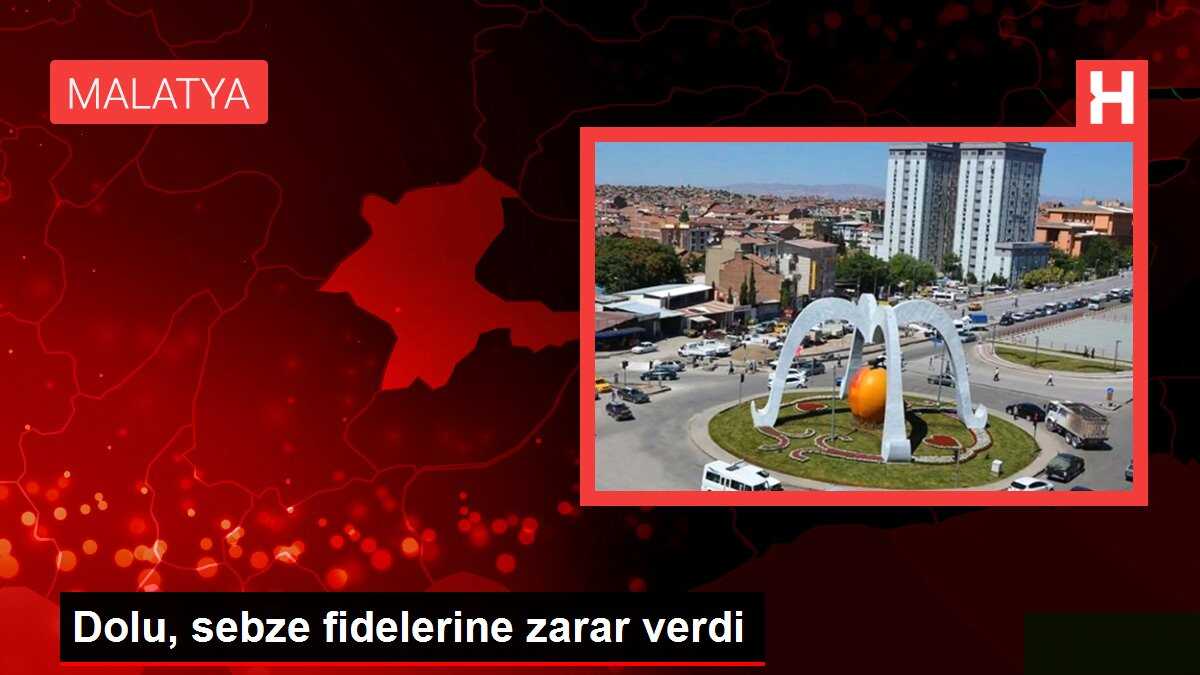 Dolu, sebze fidelerine zarar verdi