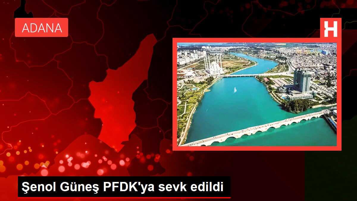 Şenol Güneş PFDK'ya sevk edildi