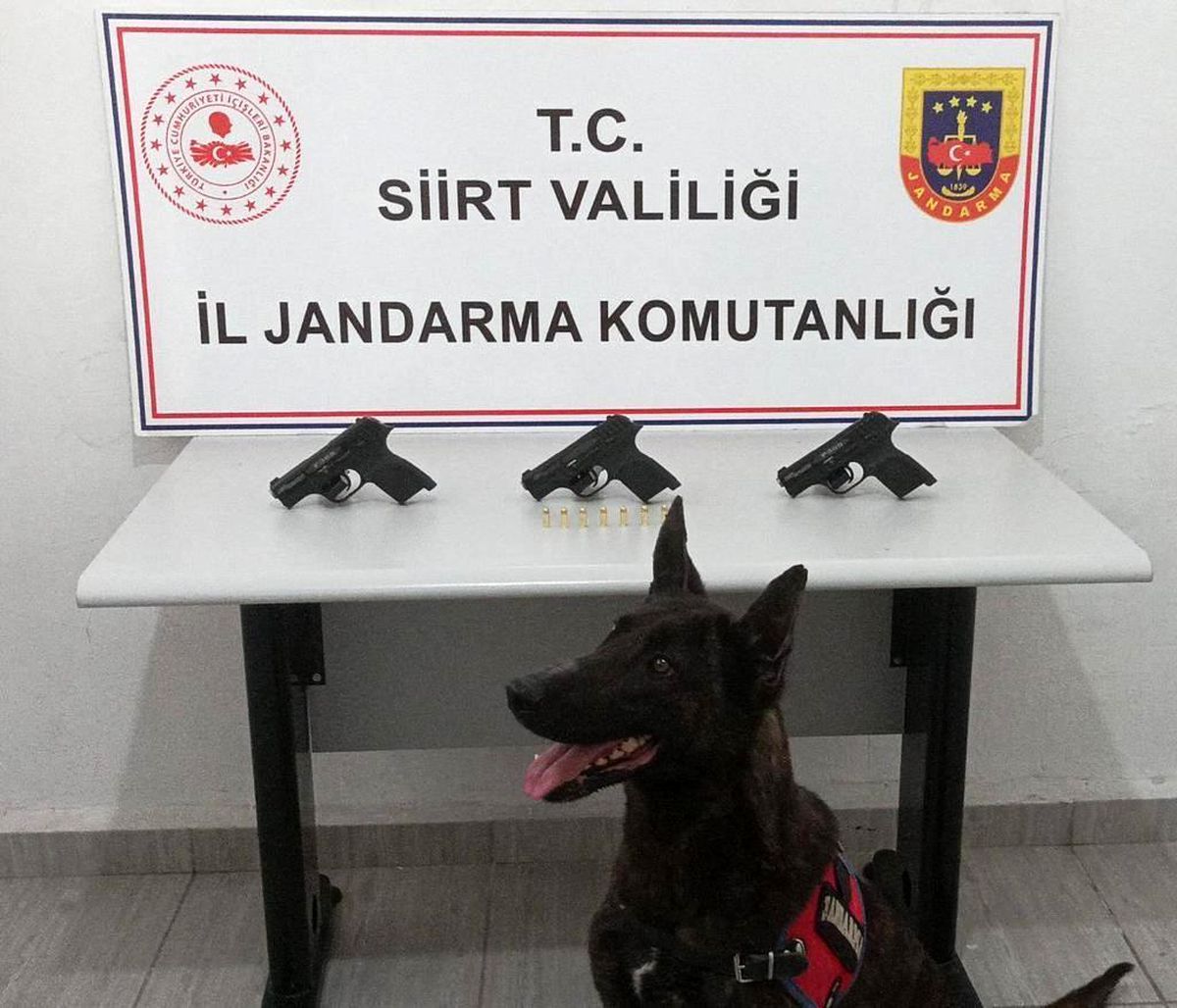Siirt'te silah ve mühimmat kaçakçılığı yapan şahıs yakalandı