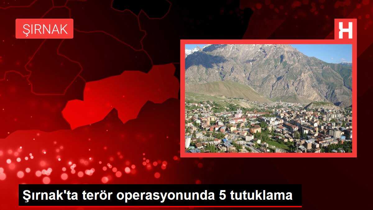 Şırnak'ta terör operasyonunda 5 tutuklama