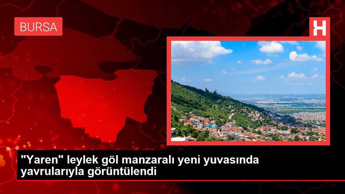'Yaren' leylek göl manzaralı yeni yuvasında yavrularıyla görüntülendi