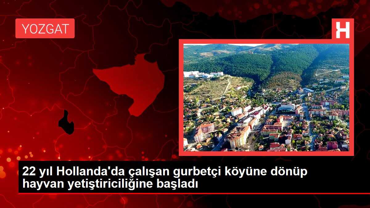 22 yıl Hollanda'da çalışan gurbetçi köyüne dönüp hayvan yetiştiriciliğine başladı