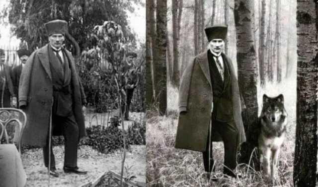 Mustafa Kemal Atatürk'ün kurt ile fotoğrafının gerçek olduğu iddiası Mustafa Kemal Atatürk'ün kurt ile fotoğrafının gerçek olduğu iddiası