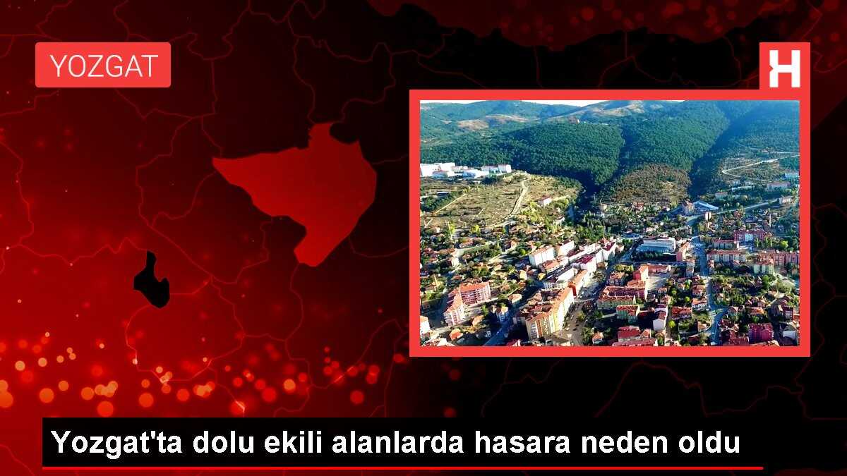 Yozgat'ta Dolu Ekili Alanlarda Hasara Yol Açtı