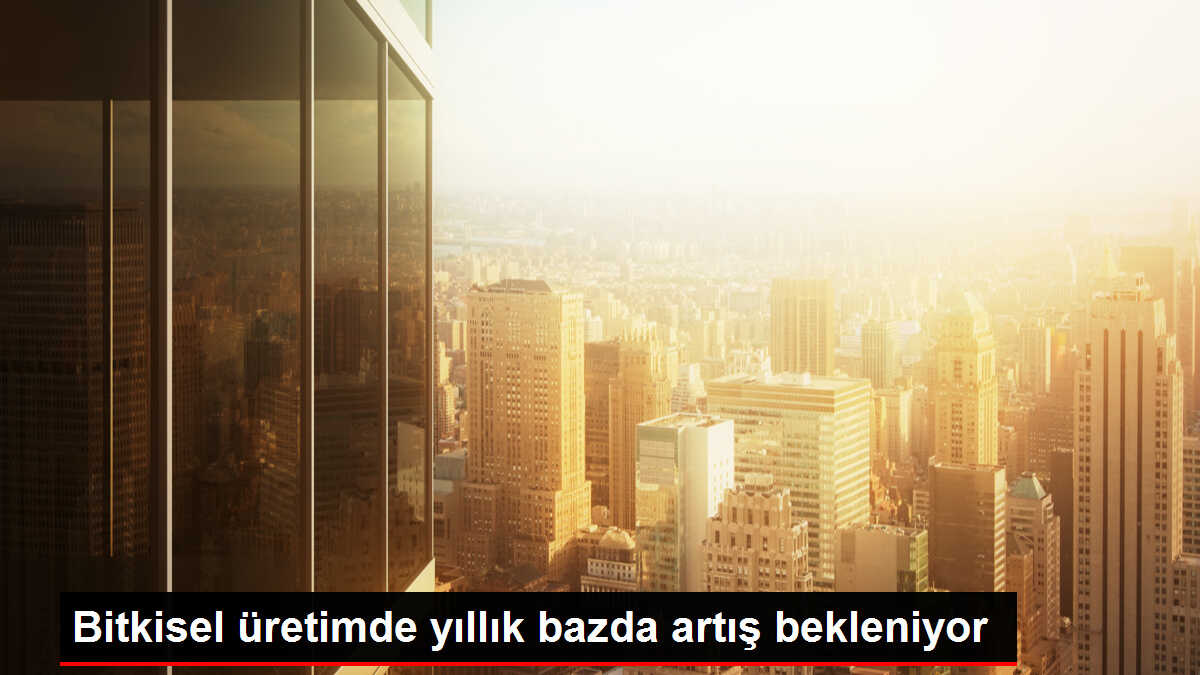 Bitkisel üretimde yıllık bazda artış bekleniyor
