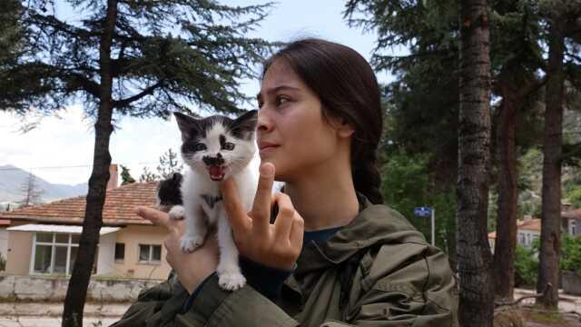 Isparta'da Yeni Doğum Yapan Kedinin 4 Ayakları Kesilerek Öldürüldü