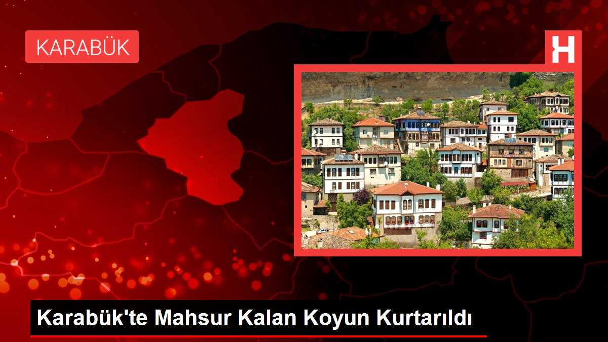 Karabük'te Mahsur Kalan Koyun Kurtarıldı