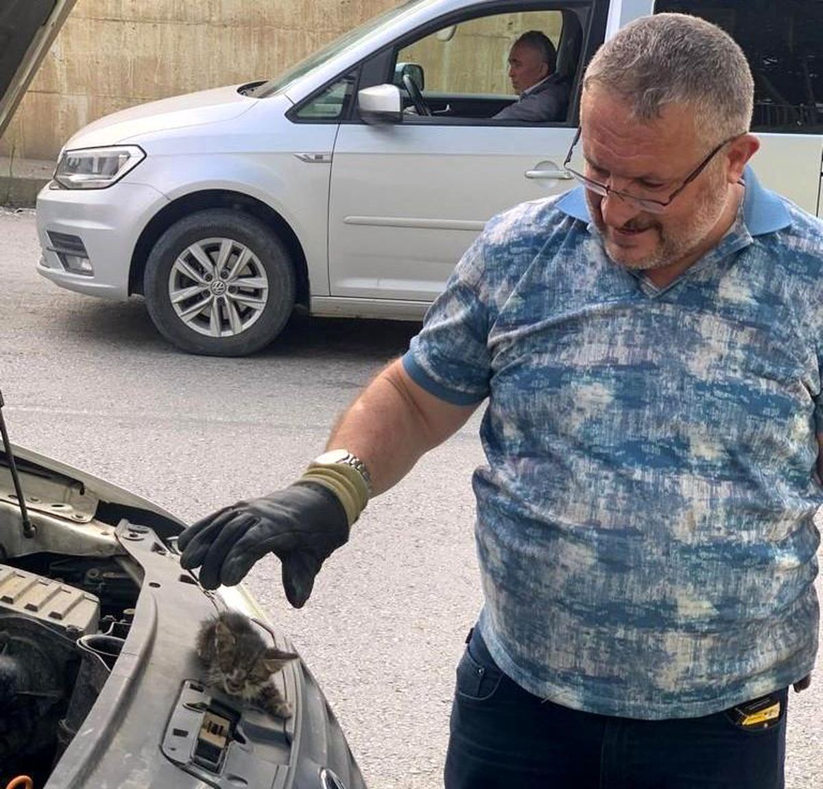 Manisa'da sürücünün dikkati yavru kediyi kurtardı