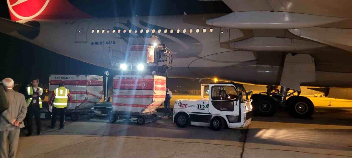 Yurt Dışı Oyları Ankara'ya Getirildi