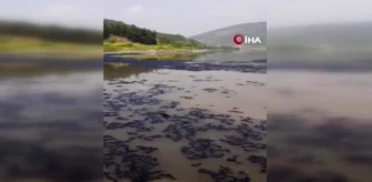 Boğazköy Barajı'ndaki Siyah Renkli Su Vatandaşları Tedirgin Etti