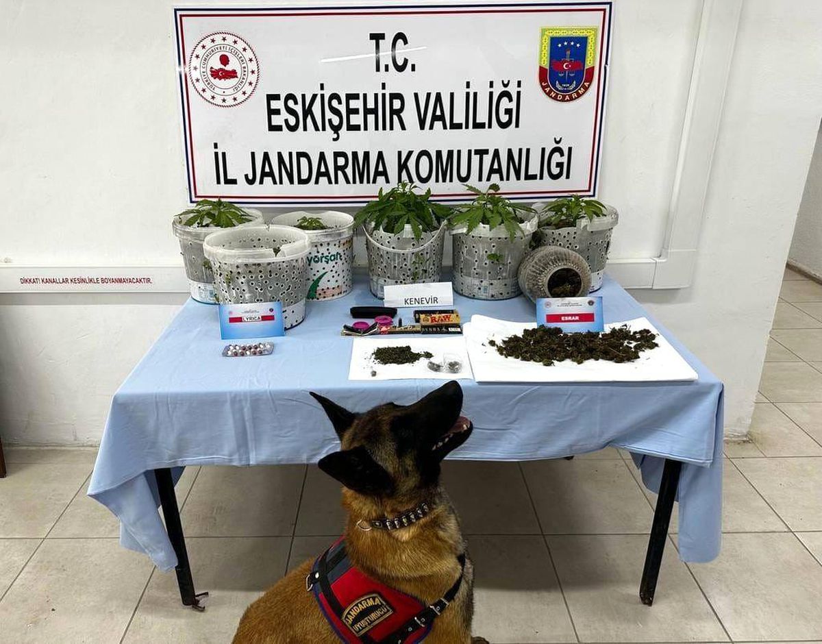 Eskişehir'de Uyuşturucu Operasyonu: Narkotik Köpeği Akça'nın Yardımıyla Şahıslar Yakalandı