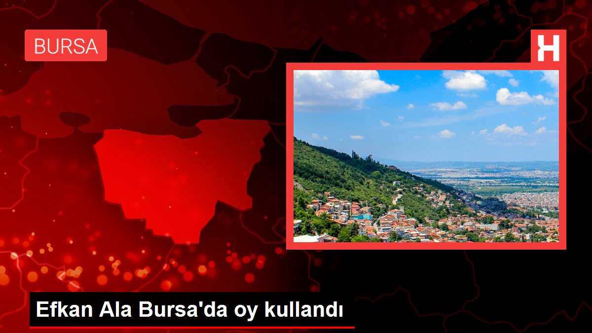 Efkan Ala Bursa'da oy kullandı