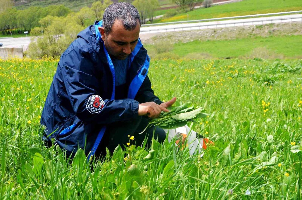 Erzurum'da doğal olarak yetişen yöre bitkileri sebze olarak tüketiliyor