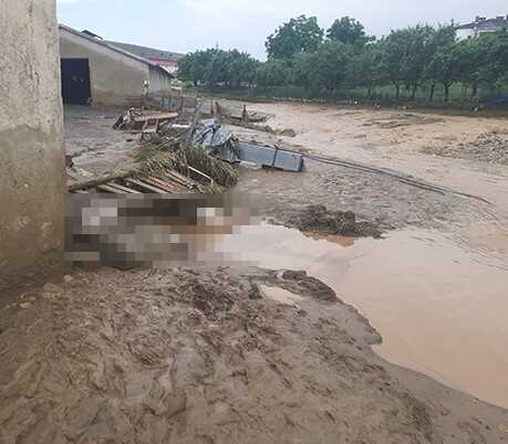 Elazığ'da Sağanak ve Dolu Etkili Oldu; 200 Küçükbaş Hayvan Öldü