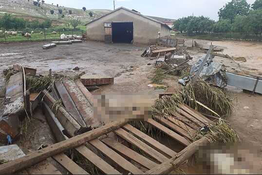 Elazığ'da Sağanak ve Dolu Etkili Oldu; 200 Küçükbaş Hayvan Öldü