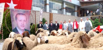 Elazığlı iş adamı Cumhurbaşkanı Erdoğan'ın seçim zaferini 20 koyun keserek kutladı