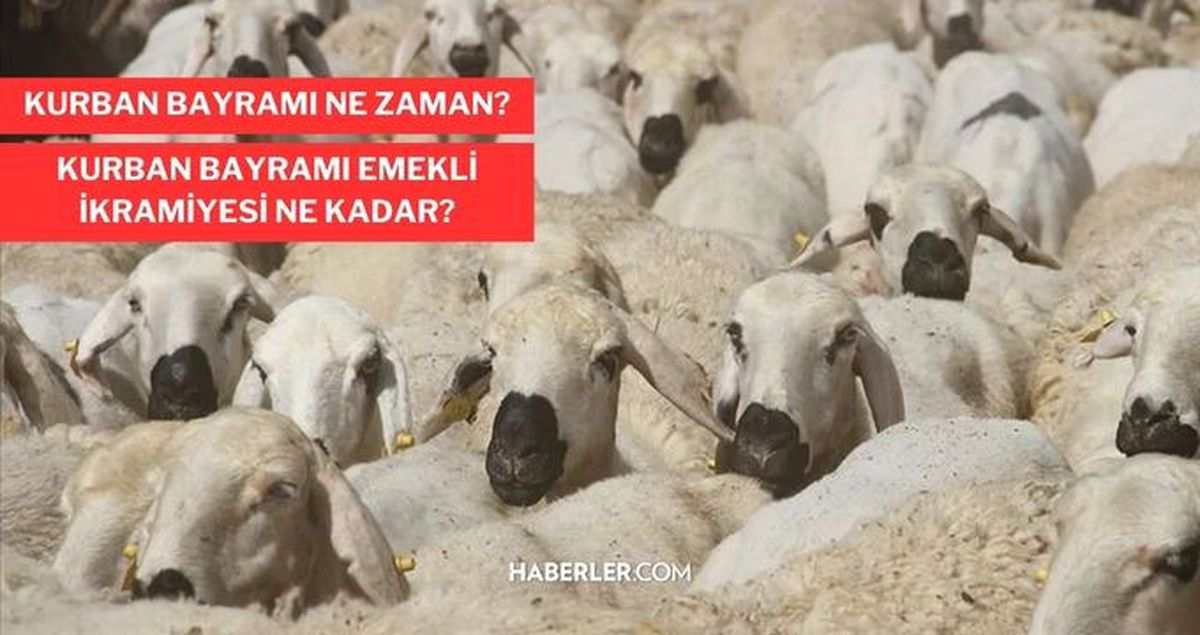 Kurban Bayramına kaç gün kaldı? 2023 Kurban Bayramı ne zaman 2023 Diyanet?