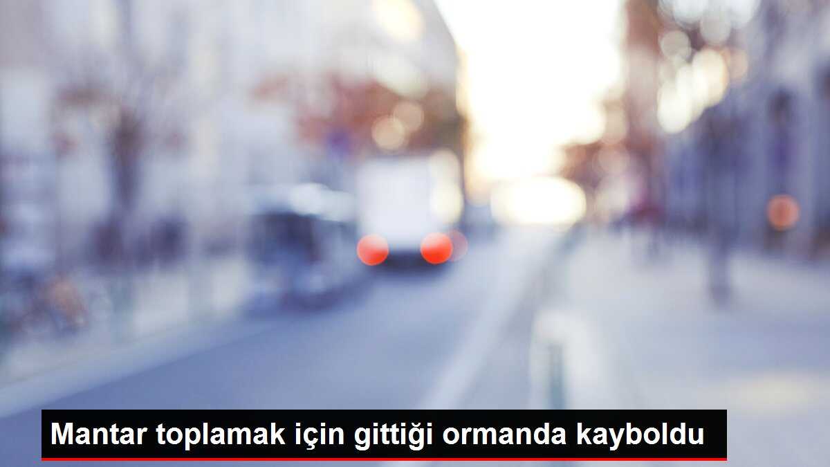 Mantar toplamak için gittiği ormanda kayboldu