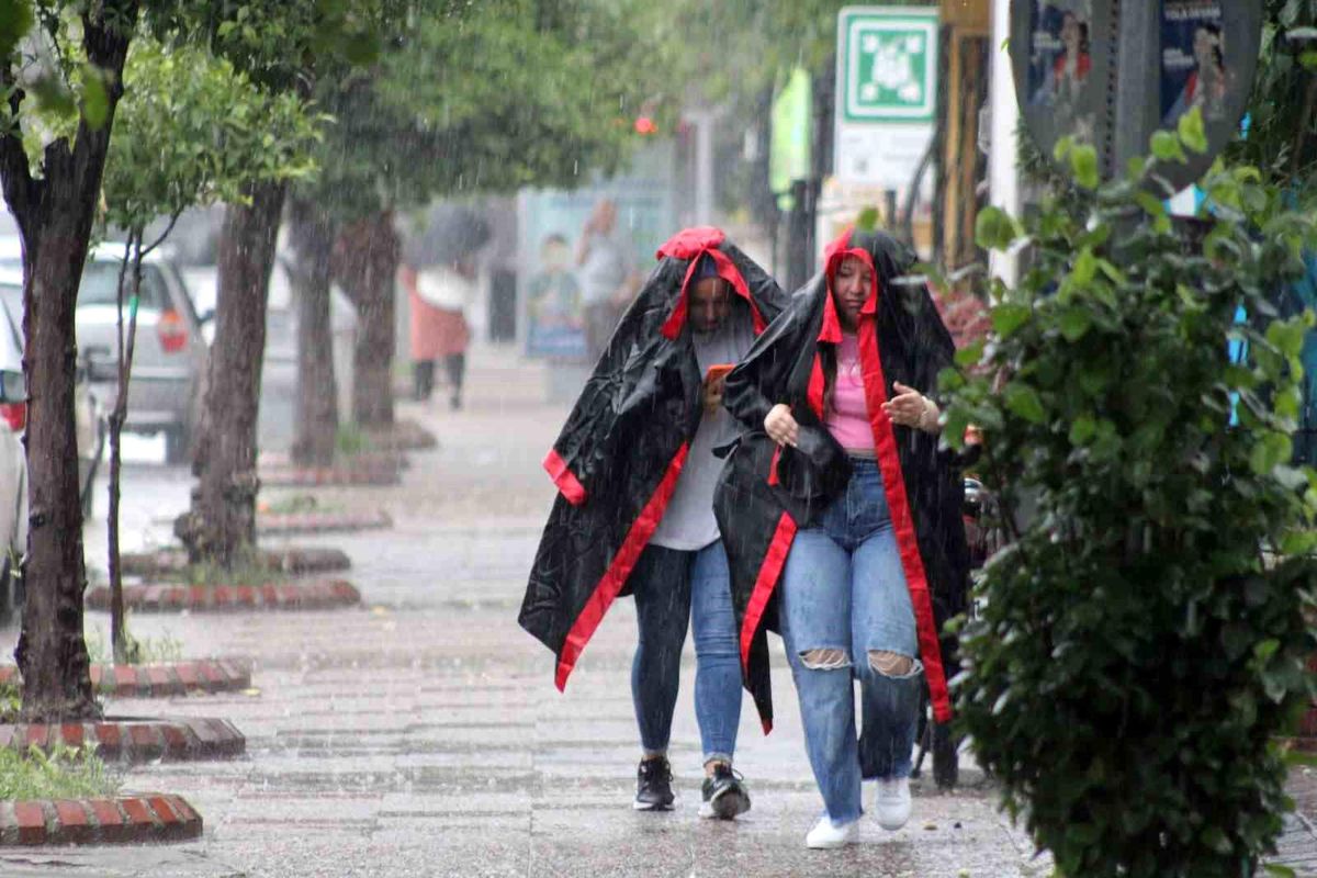 Aydın'da yaz yağmurları sevindirdi