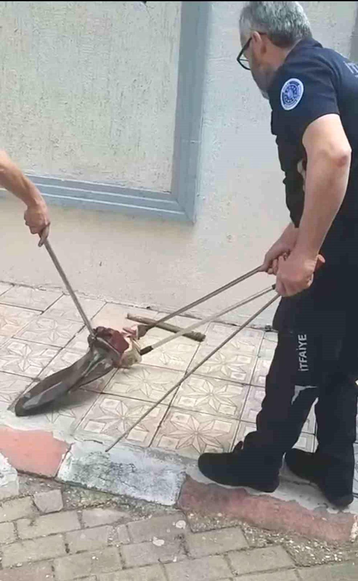 Bursa'da Yılan Paniği: İtfaiye Ekipleri Yakaladı