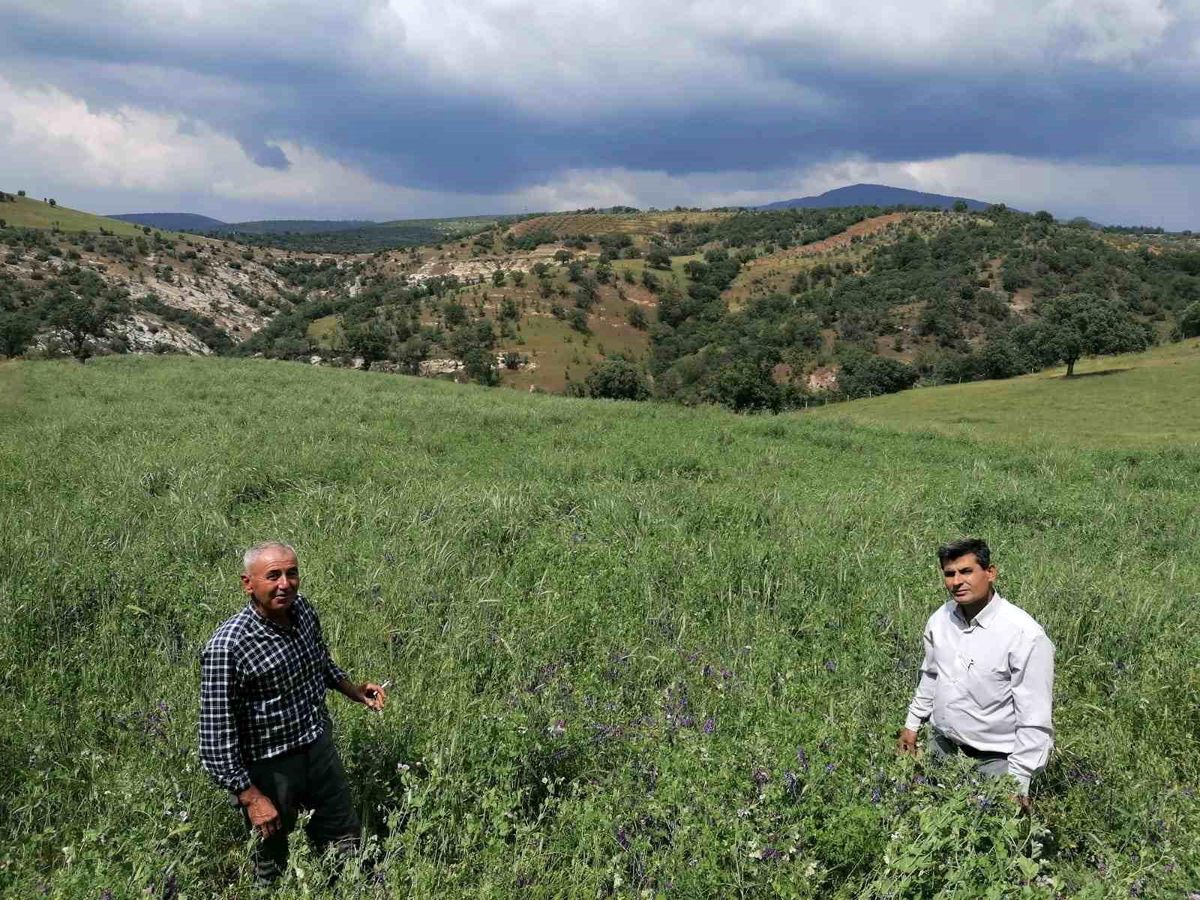 Manisa'da 'Kendi Yemini Kendin Üret' projesi hayata geçirildi