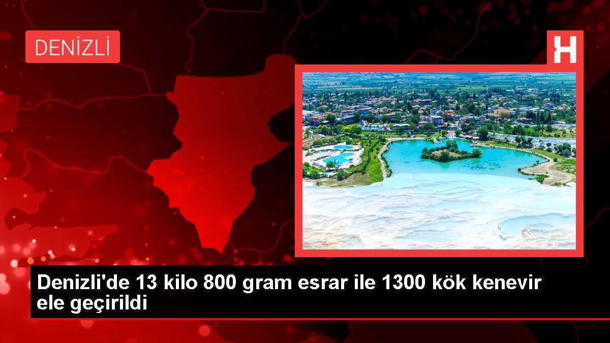 Denizli'de 13 kilo 800 gram esrar ile 1300 kök kenevir ele geçirildi