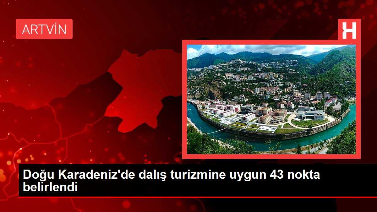 Doğu Karadeniz'de dalış turizmine uygun 43 nokta belirlendi