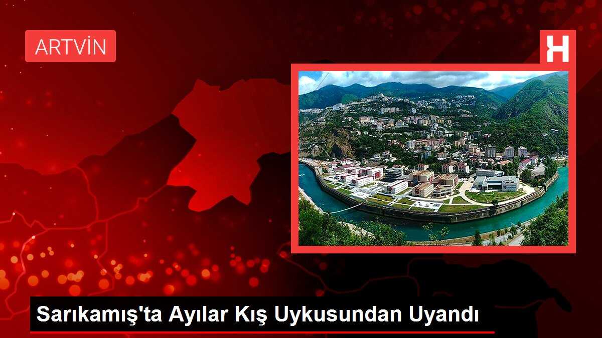 Sarıkamış'ta Ayılar Kış Uykusundan Uyandı