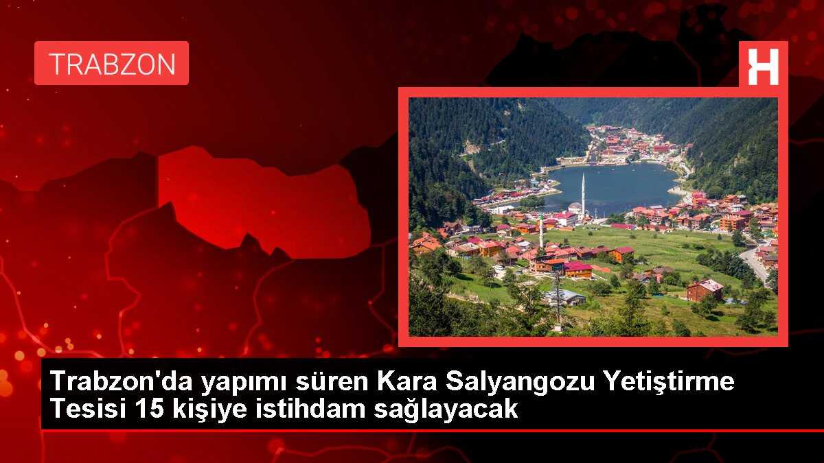 Trabzon'da Kara Salyangozu Yetiştirme Tesisi Yapımı Tamamlanıyor
