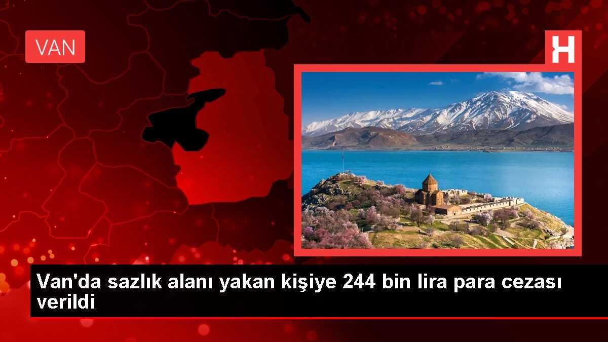 Van'da sazlık alanı yakan kişiye 244 bin lira para cezası verildi