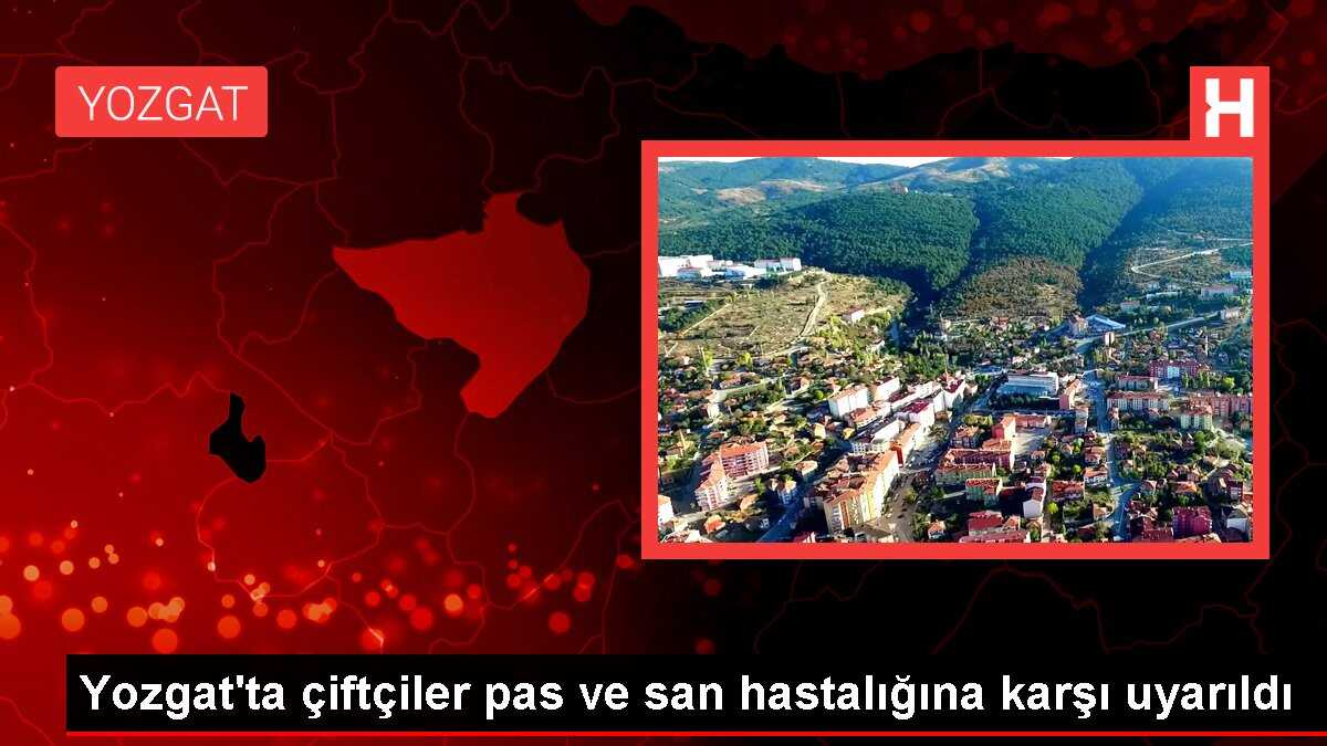 Yozgat'ta yoğun yağışlar bitki hastalıklarına neden olabilir