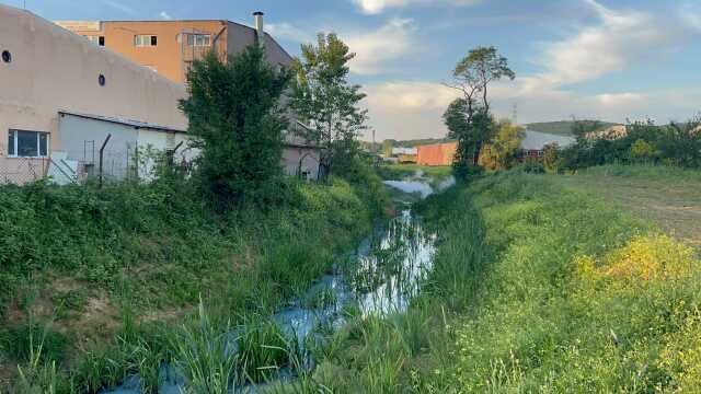 Arnavutköy'deki derenin rengi maviye döndü, atık sular kaynaklı iddiası