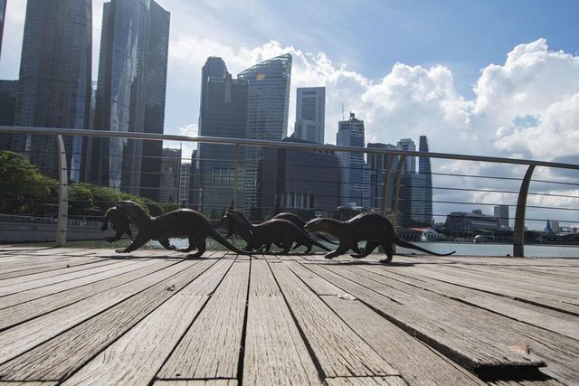 Dünya Su Samuru Günü, Singapur'da Kutlandı Dünya Su Samuru Günü, Singapur'da Kutlandı