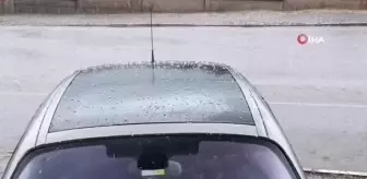 Gemerek'te dolu yağışı etkili oldu
