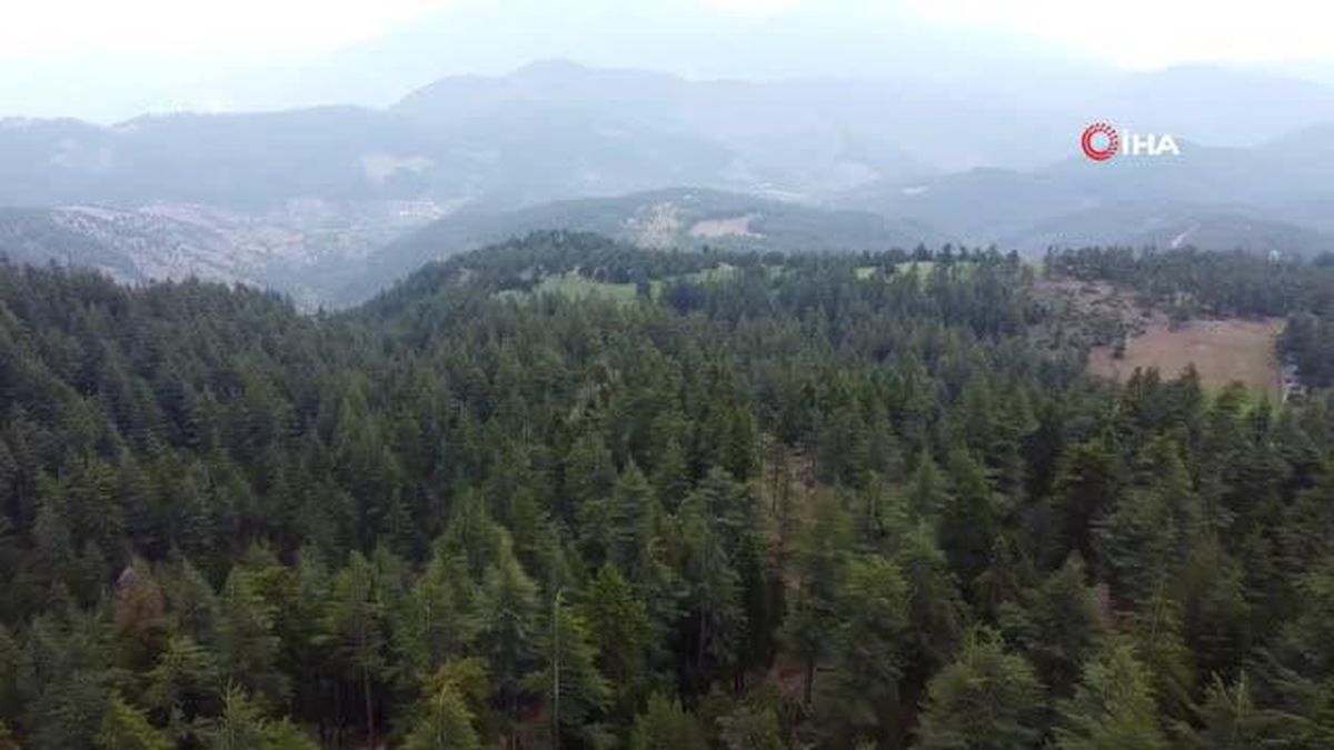 Kozan'da kaybolan kişinin cansız bedeni bulundu
