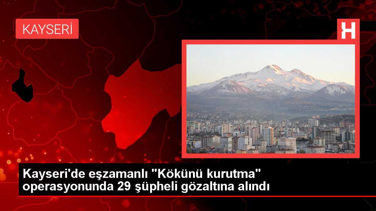Kayseri'de 'Kökünü kurutma' operasyonunda 29 şüpheli gözaltına alındı