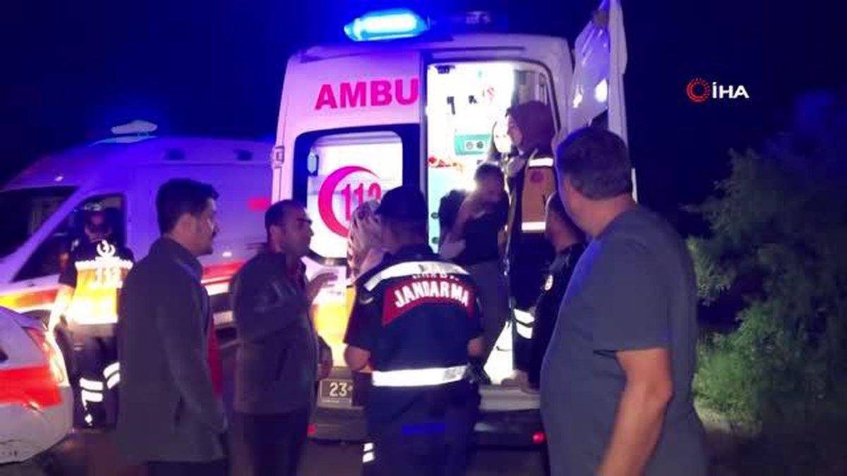 Köpeğe çarpan kamyonet şarampole uçtu: 4 yaralı