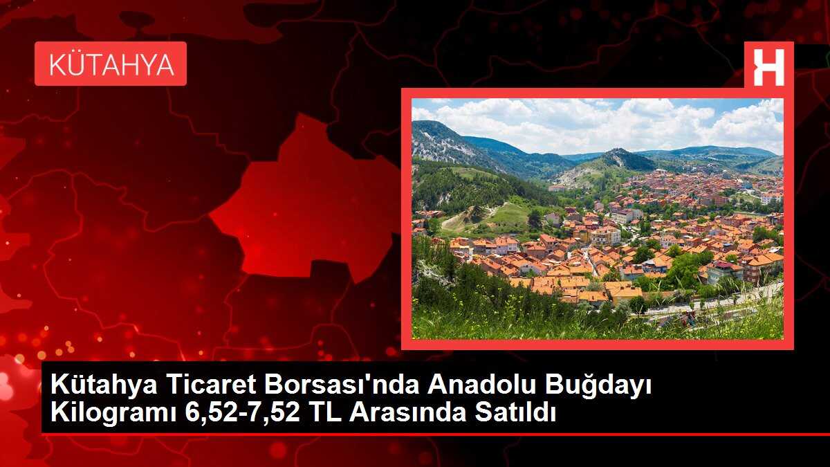 Kütahya Ticaret Borsası'nda Anadolu Buğdayı Kilogramı 6,52-7,52 TL Arasında Satıldı