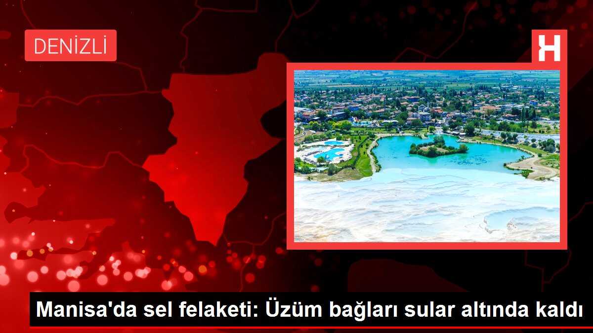 Manisa'da sel felaketi: Üzüm bağları sular altında kaldı