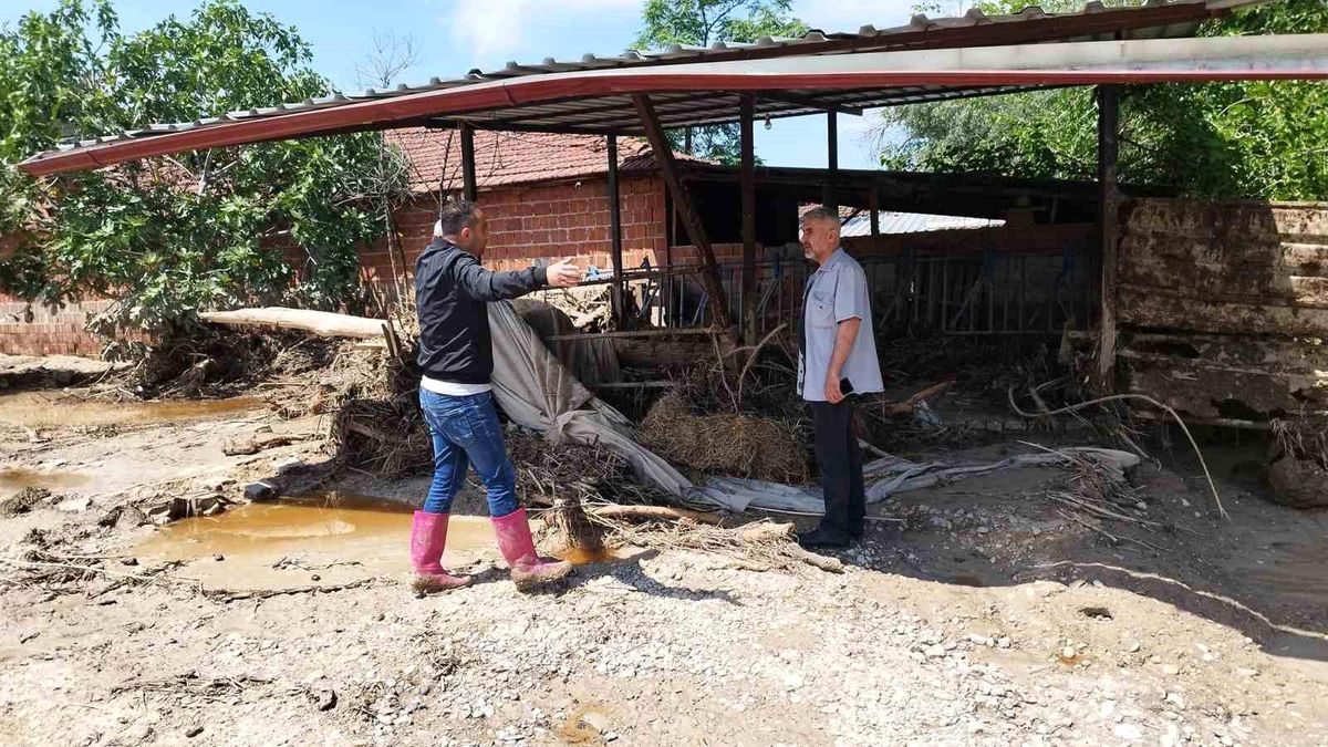Denizli'de Şiddetli Yağışın Ardından Oluşan Sel Büyükbaş Hayvanları Sürükledi