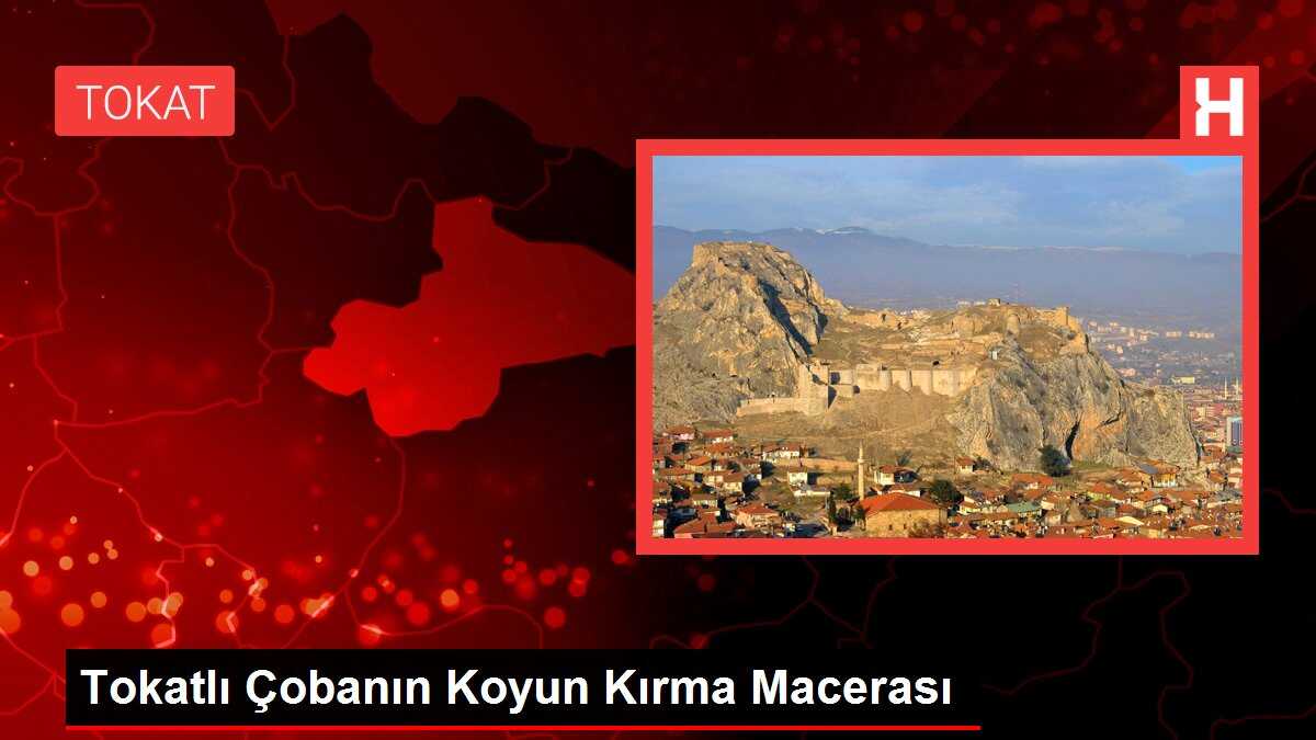 Tokatlı Çobanın Koyun Kırma Macerası